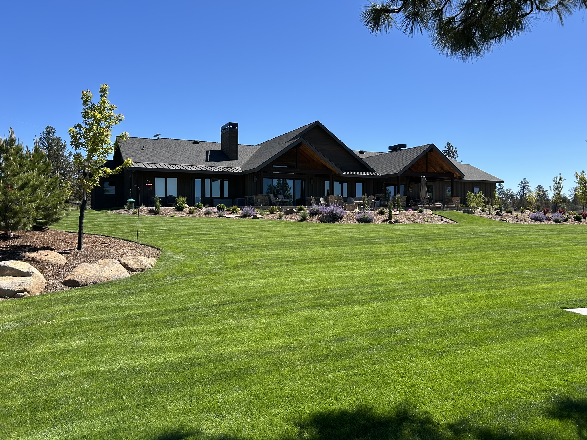Large seeded lawn install by Sisters Landscape for a residential home.